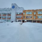 2026 год