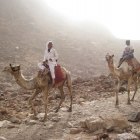 Местные жители - бедуины на своих кораблях пустыни