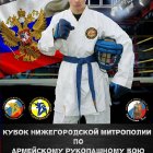 20160622-афиши сборов "Православный воин-2016"