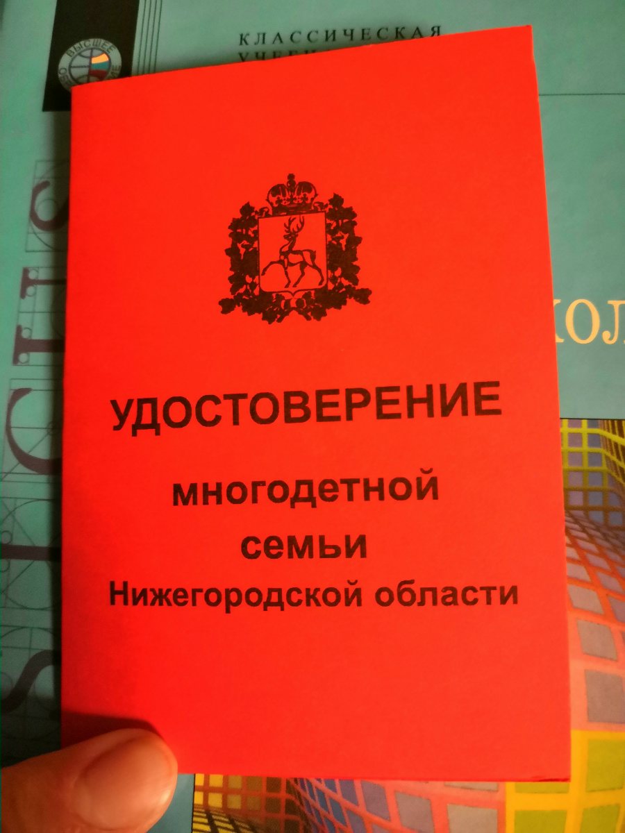 Многодетные родители Сарова объединяются | Православный Саров